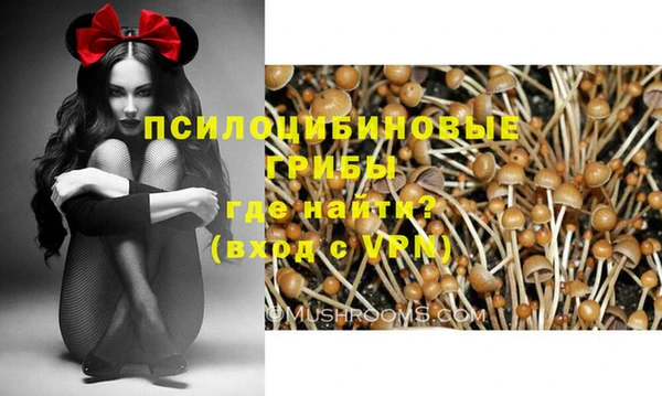 меф Балахна