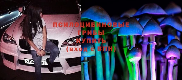 PSILOCYBIN Белоозёрский
