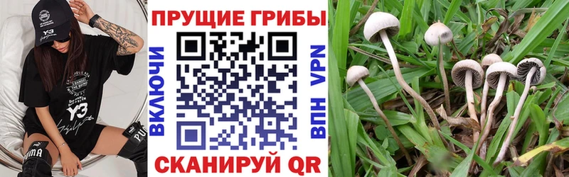 Галлюциногенные грибы Magic Shrooms  Электроугли 